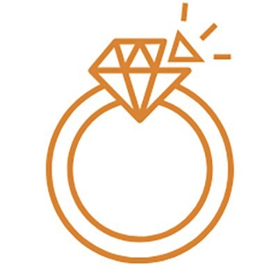 We arrange insurance cover for valuable items on a single item basis such as #jewellery #engagementrings #watches #collectables and #bicycles.