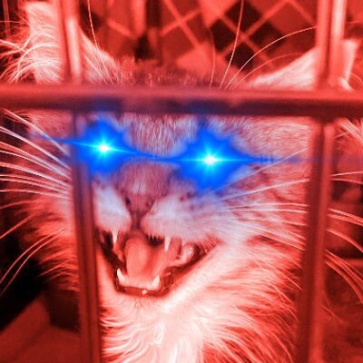 TERF-adjacent. Black pilled. Noticer. Christ is King. Based.