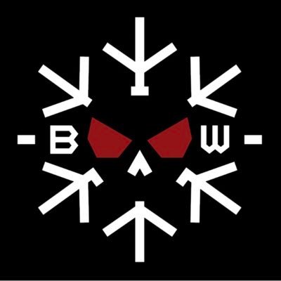 BWG_special's profile picture. Офіційна сторінка «Black Winter Group» у складі «Спецпідрозділу Тимура» ГУР МО України