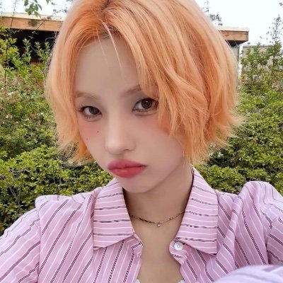 napi_windy's profile picture. 06(19) i-dle そよんちゃん🪷