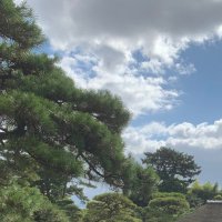 Takumi (@_wa5aki) 's Twitter Profile