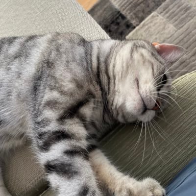 j_katsumata's profile picture. 常に謙虚でいる事が、人生の目標です。謙虚でいる事が、自分自身を助ける。