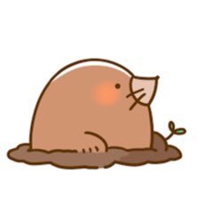 ponpokotin3151's profile picture. 自由人 ニコ生好き😊ライター好き🔥