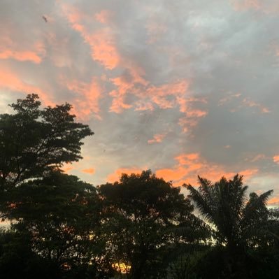 meaawwl's profile picture. 