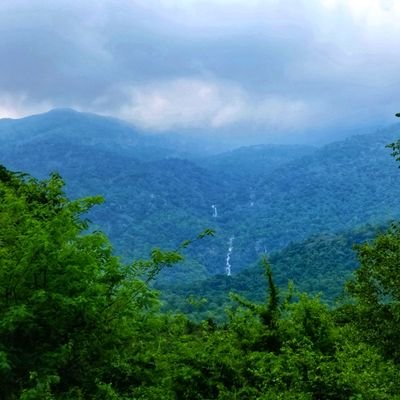 💗 Dhanush Fan
💌Spread Love 💌
Om Nama Shivaya
love-Nature
