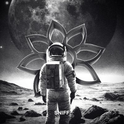 sniff_rl's profile picture. 19 🇮🇹