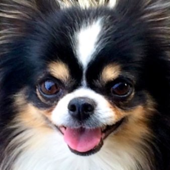 CFitz1413129's profile picture. 