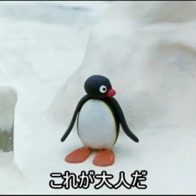 BearKuma33's profile picture. 学部卒(CS)→フリーター→M2(DS)