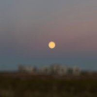 NDG 🇺🇦 (@ndg2345) 's Twitter Profile
