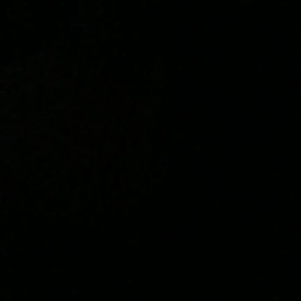 qwip1020's profile picture. 