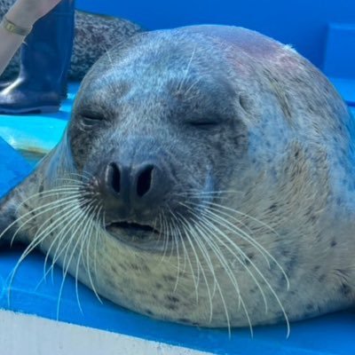 もこたさんのプロフィール画像