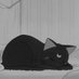 meh (@privchatning) Twitter profile photo meh (@privchatning) Twitter profile photo