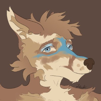 Zefirskkさんのプロフィール画像