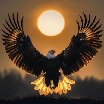 Alfanzo984806's profile picture. 