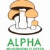 AlphaMushroomCluster (@alphamushroom1) Twitter profile photo AlphaMushroomCluster (@alphamushroom1) Twitter profile photo
