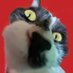 average pastabox enjoyer (@wdihtbm) Twitter profile photo average pastabox enjoyer (@wdihtbm) Twitter profile photo