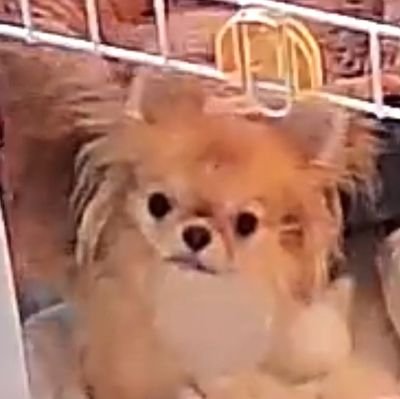 chil110703's profile picture. 