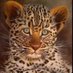 SIMON TEMPLAS (@pascualmar34212) Twitter profile photo SIMON TEMPLAS (@pascualmar34212) Twitter profile photo