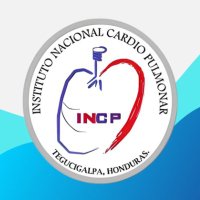Instituto Nacional Cardiopulmonar el Torax (@instituto_torax) 's Twitter Profile