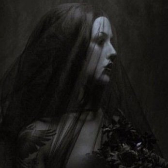Seraphさんのプロフィール画像