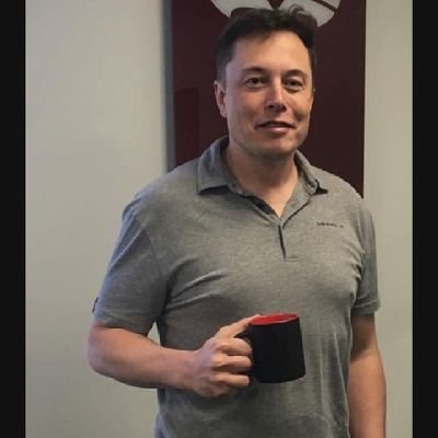 Privatchatmusk's profile picture. private chat with Elon musk