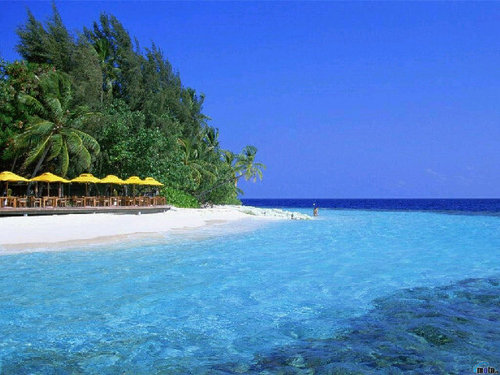 mariaarenaspe's profile picture. 