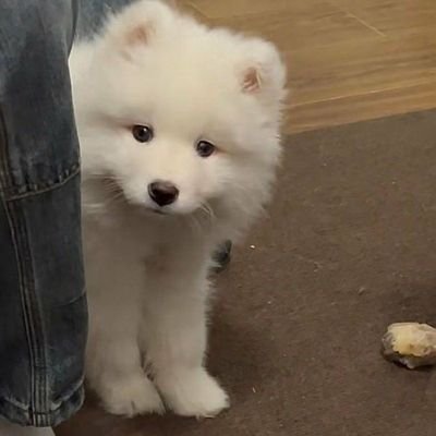 irs12c's profile picture. old - fast reply