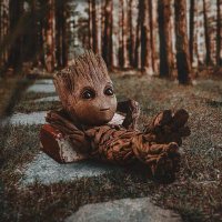 Baby Groot (@baby_groottt) 's Twitter Profile Photo Baby Groot (@baby_groottt) 's Twitter Profile Photo