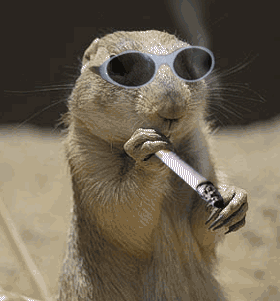 FatosDaJuventu's profile picture. 