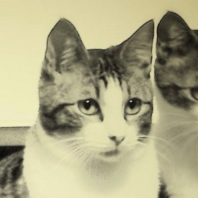 うじにぃさんのプロフィール画像