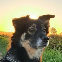 Lola & Mum (@abele_petra) Twitter profile photo