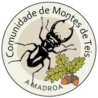 Comunidade de Montes de Teis (@cmontesteisteis) 's Twitter Profile