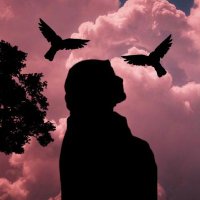 Neno (@elzeiny34444) Twitter profile photo