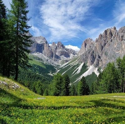 arch97532's profile picture. 