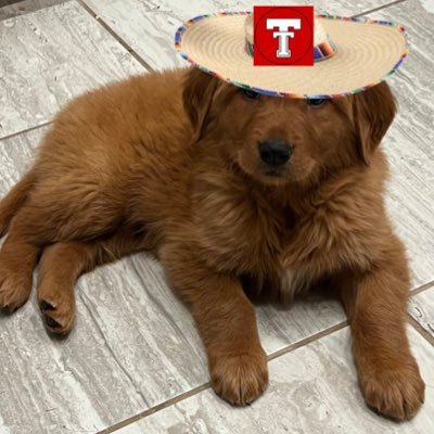@felipe4prez