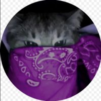 Zel1x _ (NEW @Zel1xvfx) (@zel1xfn) 's Twitter Profile Photo Zel1x _ (NEW @Zel1xvfx) (@zel1xfn) 's Twitter Profile Photo