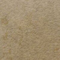 921687 (@sfkbsnk) Twitter profile photo