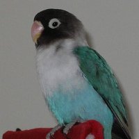 The Modbeats (@the_modbeats) 's Twitter Profile