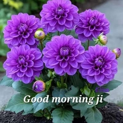 DeepakK2853933's profile picture. 