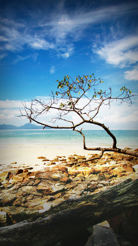 nuriajimenapm's profile picture. 