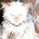 Stewart Mann - @canman111 - Twitter