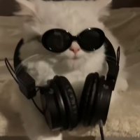 eczlipse (@rry_merry20720) 's Twitter Profile