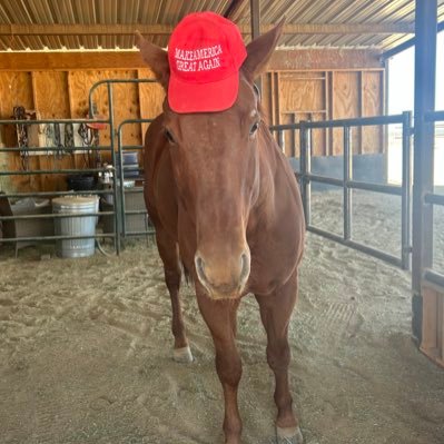 Suzanne2A1A's profile picture. 