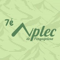 Aplec de Penyagolosa (@penyagolosaplec) 's Twitter Profile