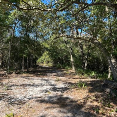 gapsinmyhalo's profile picture. I yap abt my emotions here