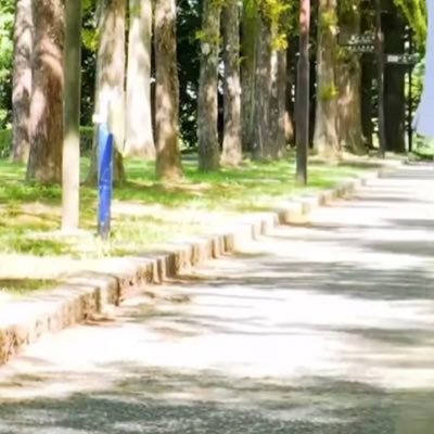 ren04112's profile picture. 