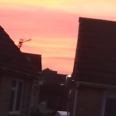 LLenaagata45404's profile picture. 🥥