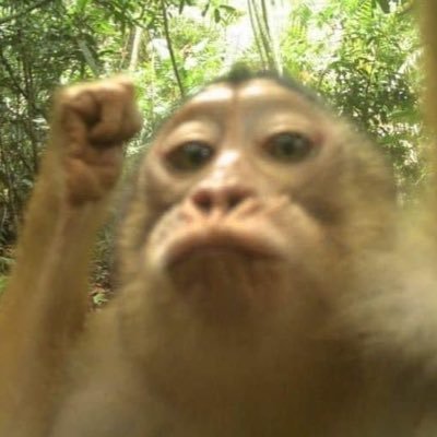 marii_gissa's profile picture. nice ass