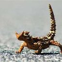 kaleb mccarty - @KalebMccarty - Twitter