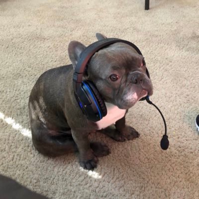 23 yo | Twitch Affiliate | I’ll start back streaming one day…